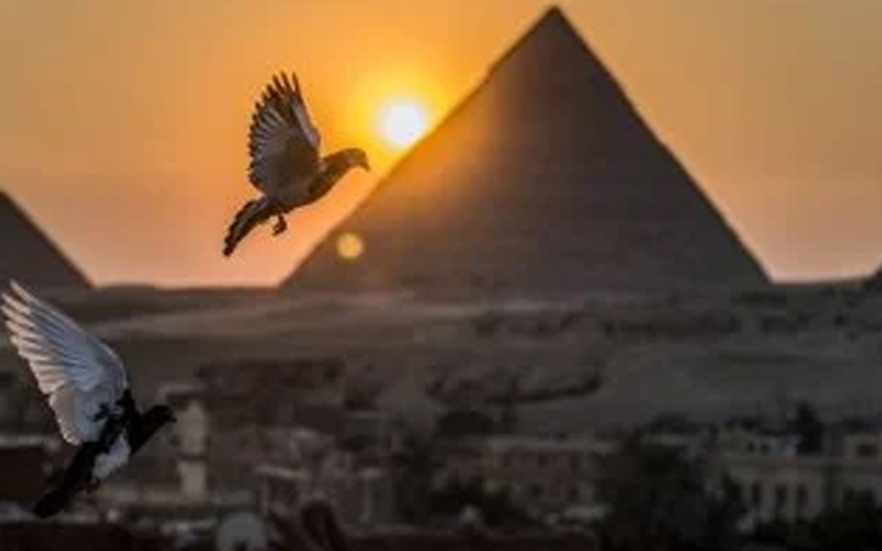 "بيزنيس أفريكا": مصر ضمن أفضل 10 وجهات للسفر والسياحة فى أفريقيا عام 2025